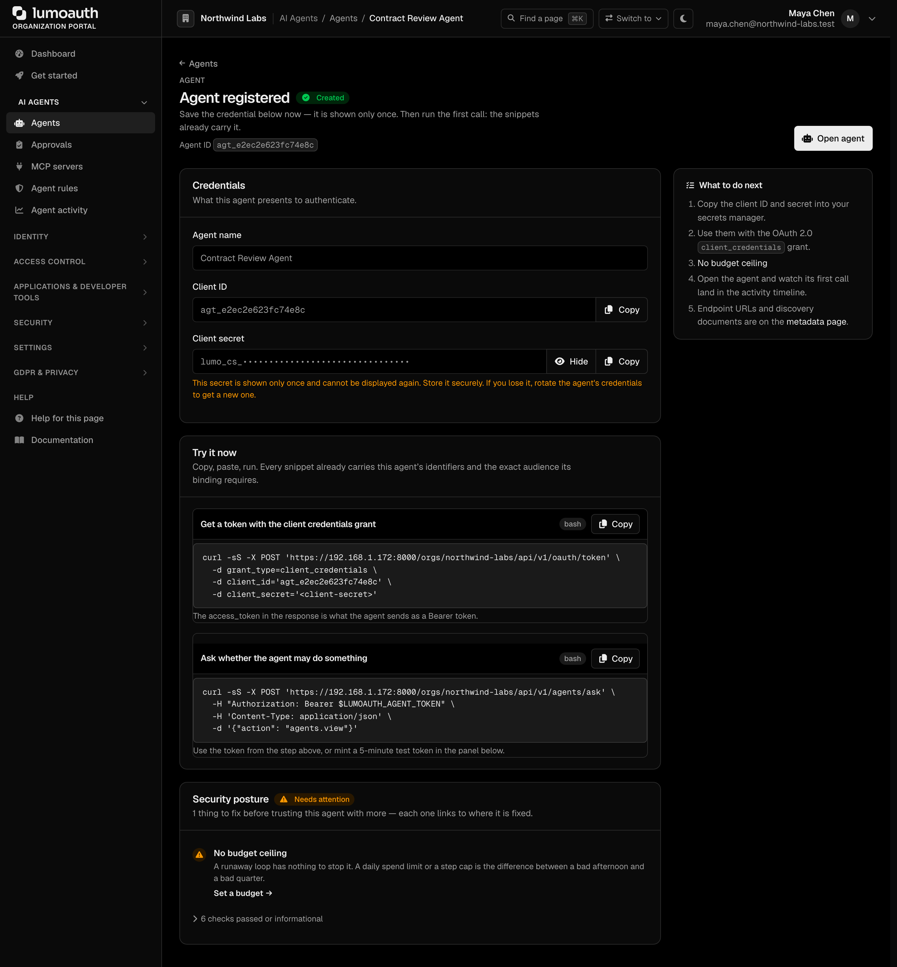 The Agent created page showing the client ID and the one-time client secret